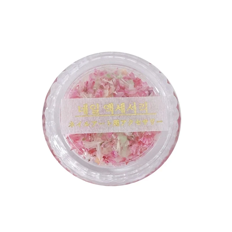 Fashion Dried Flowers for Resin Craft Nail Art Mix Small Mini Dry Flowers Press on Nail Charms Summer Nail Accessories