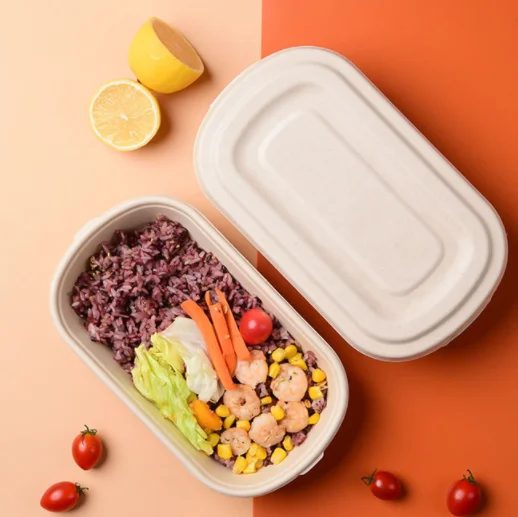 Disposable Takeout Tableware Sugarcane Bagasse Bowl For Picnics Parties