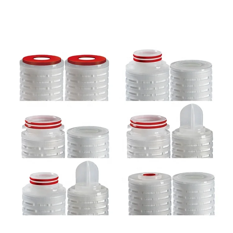 Absolute 0.22/ 0.45 Micron SIP PES Membrane Pleated Filter Cartridge Eye Drop Biological Goods Filtration