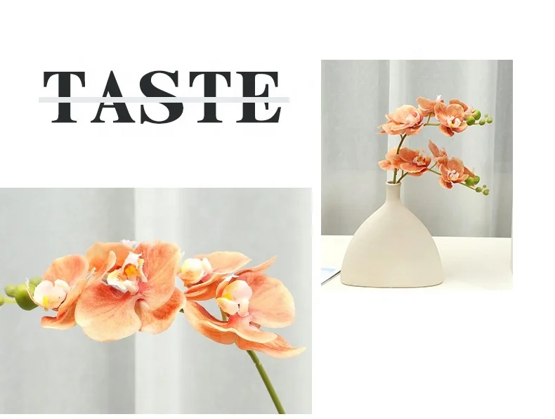 Manufacturers for home decoration living room decorations wedding celebrations Wholesale of 5 Phalaenopsis orchids