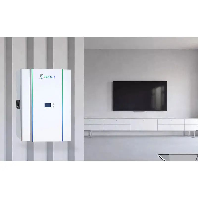 Terli 5kw 10kw 48v 100ah Lifepo4 Lithium Ion Battery Pack 48v Bms For Lithium Ion Battery Pack