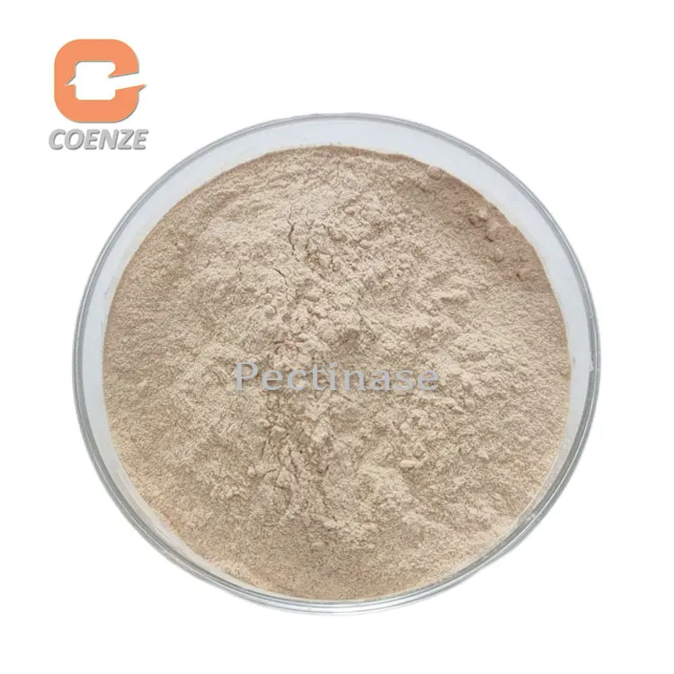 Food Grade Enzyme Manufacturer Supply Pectinase Enzyme