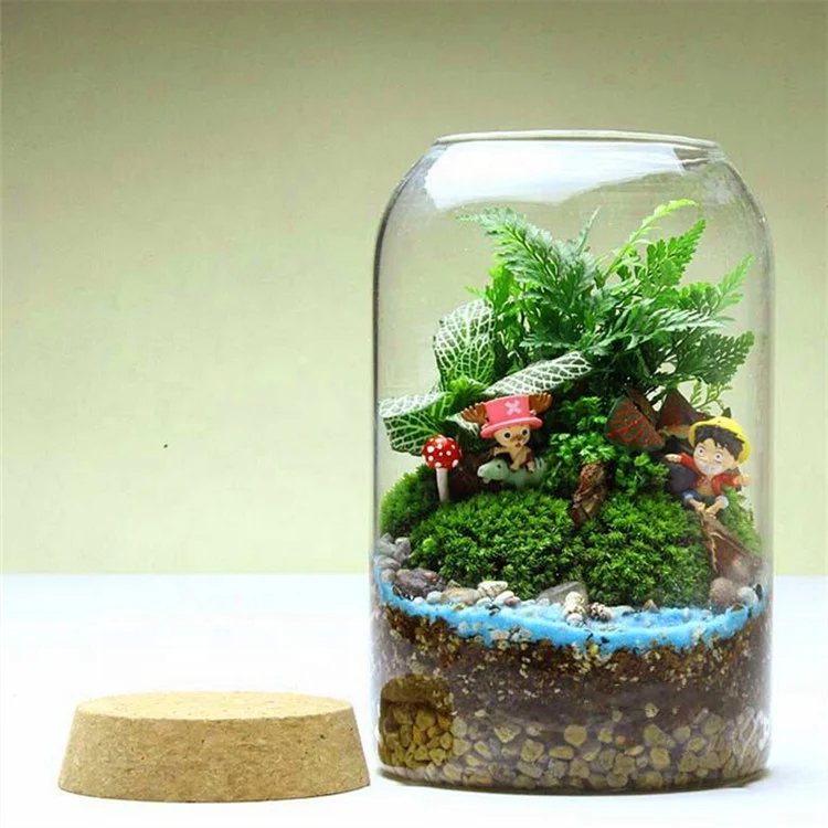 Боросиликатное стекло биодом тропический лес Террариум с пробкой
