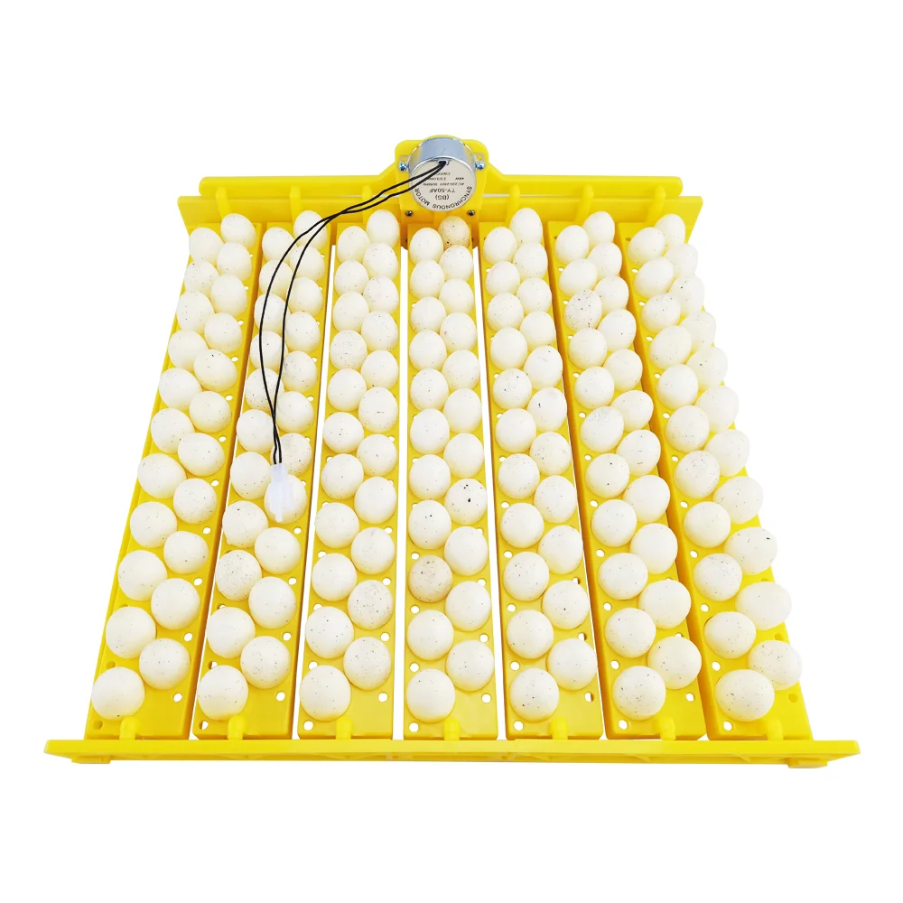 Automatic high hatching rate bird egg incubator 154 eggs for sale