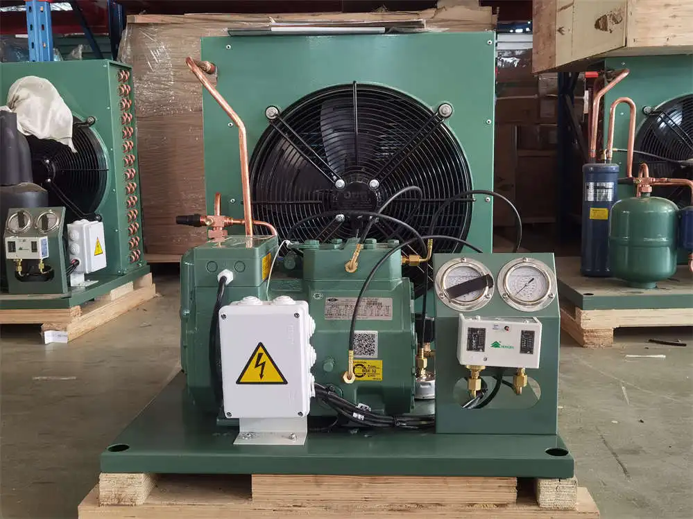 High Quality Good Price Factory Suppler Air Cooled Condensing Unit  Condensing Unit