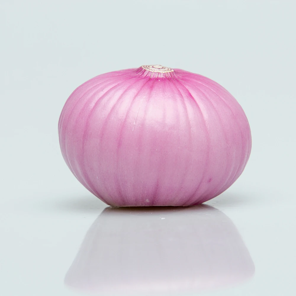 New crop Fresh Yellow Onion red onion export from china