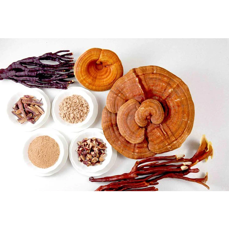 
organic reishi lingzhi capsule ganoderma lucidum mushroom cafe coffee extract 