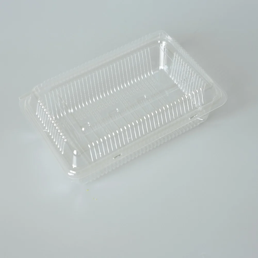 Disposable plastic large black takeaway box sushi packaging