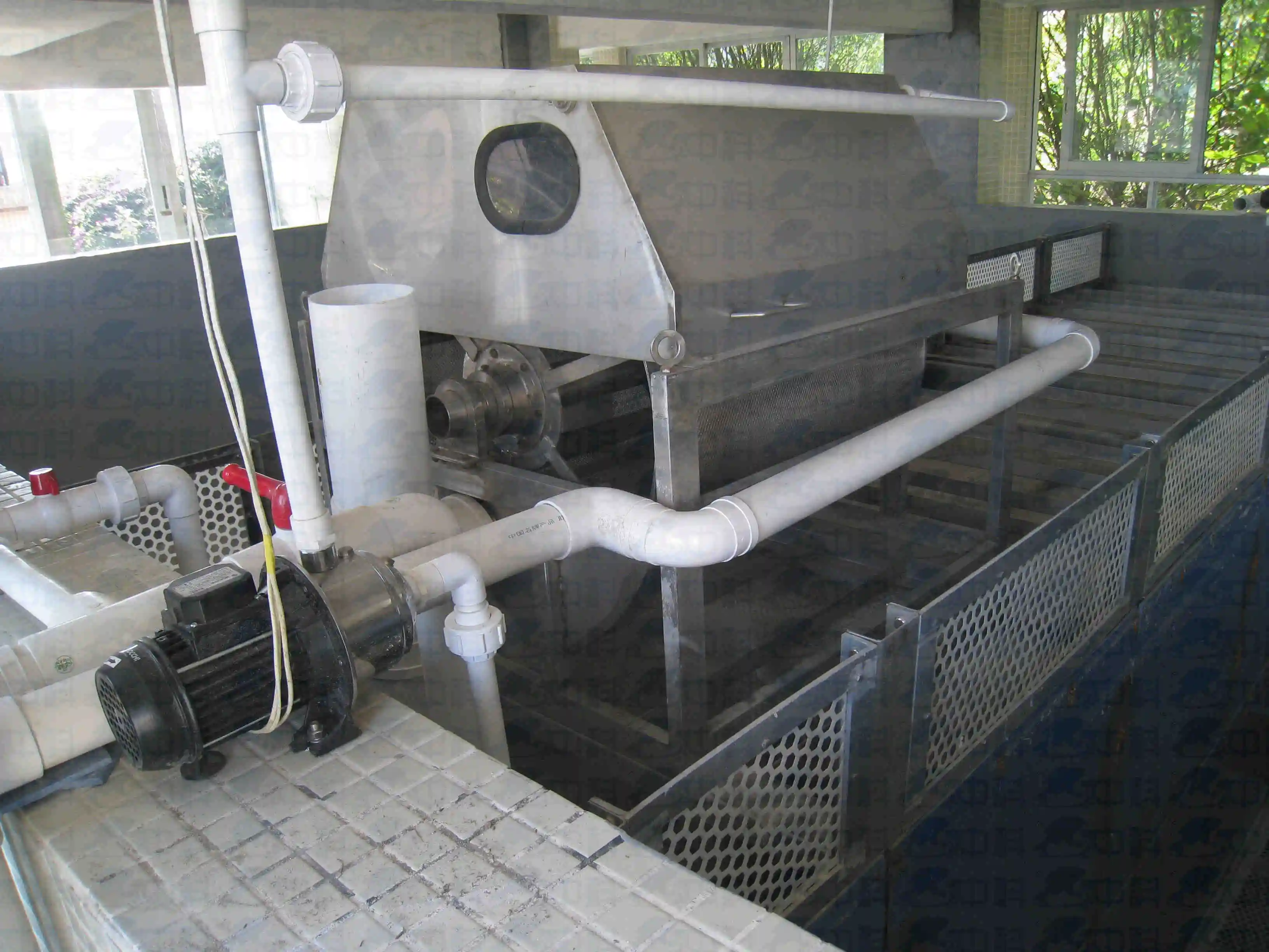 ras aquaculture fish farm system