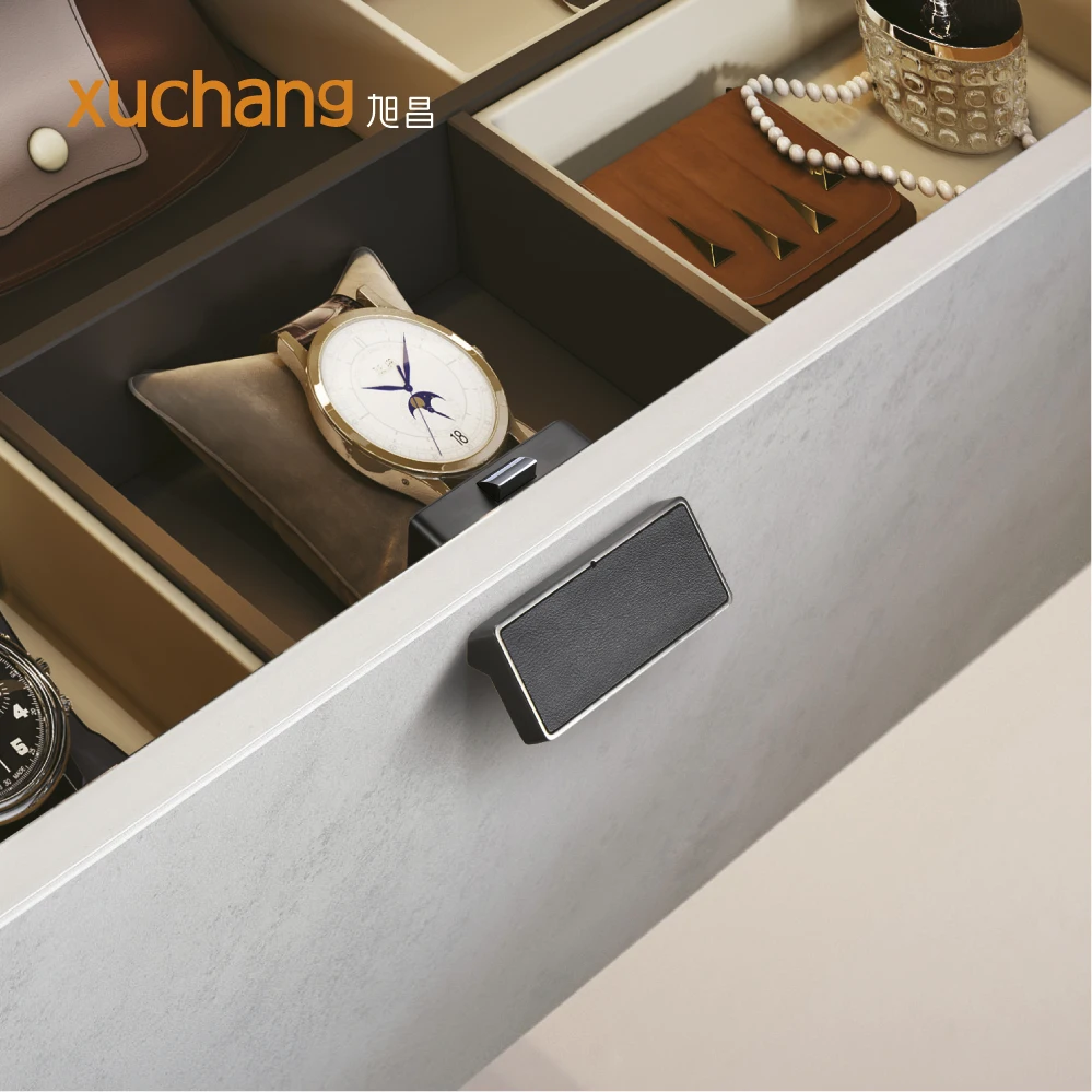 New Design Smart Fingerprint Drawer Knob