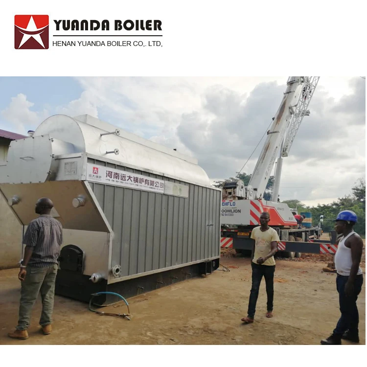 Manual Hand Operation DZH 1t 2t 3t 4t 5t 6t Wood Coal Firewood Log Waste Fired Steam Boiler for sale