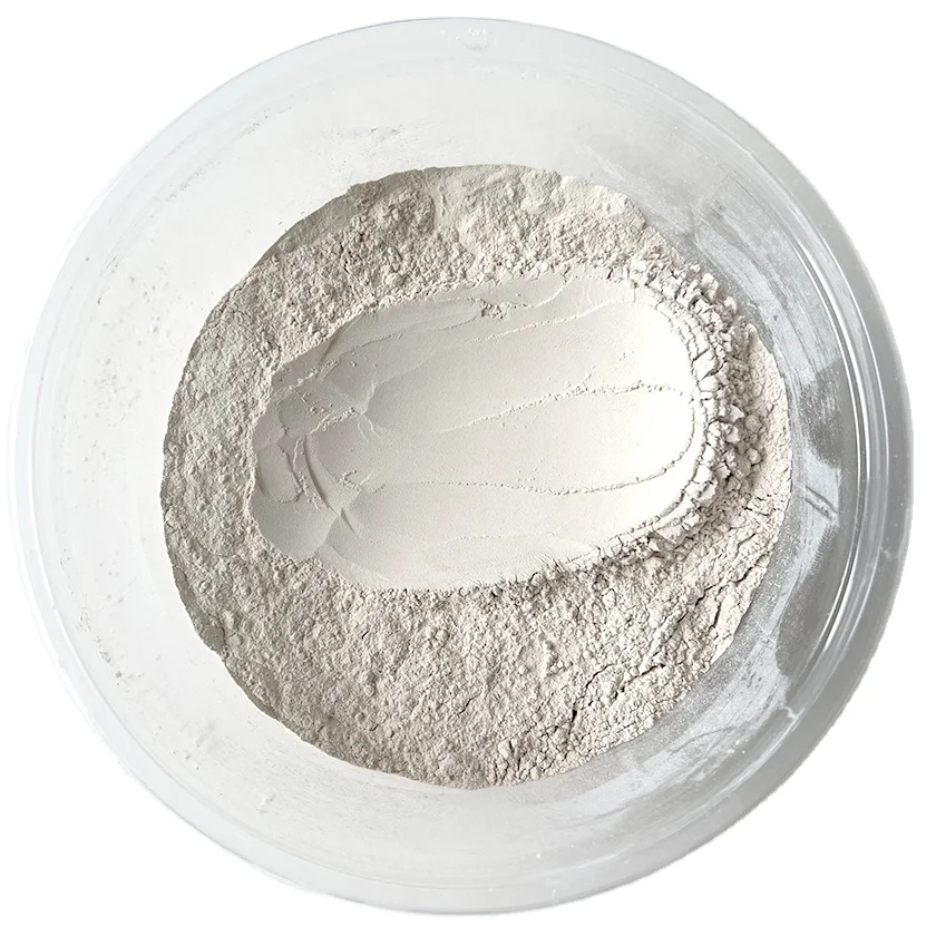 montmorillonite powder