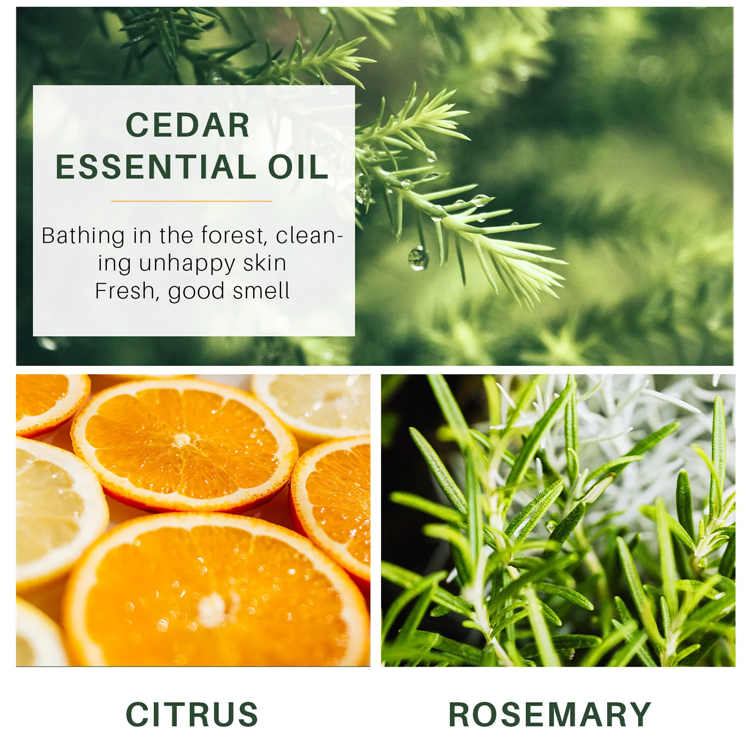 Cross Explosion Men Gulong Handmade Bath Soap Face Wash Anti-Mite Oil Control Bath Essential Oil Soap