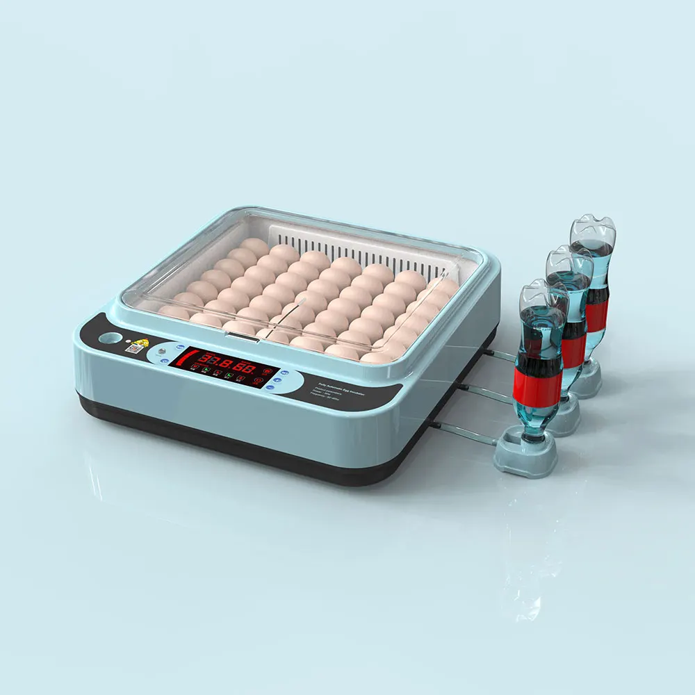 12V /110V/220V Automatic Mini Chicken Egg Incubator For Sale