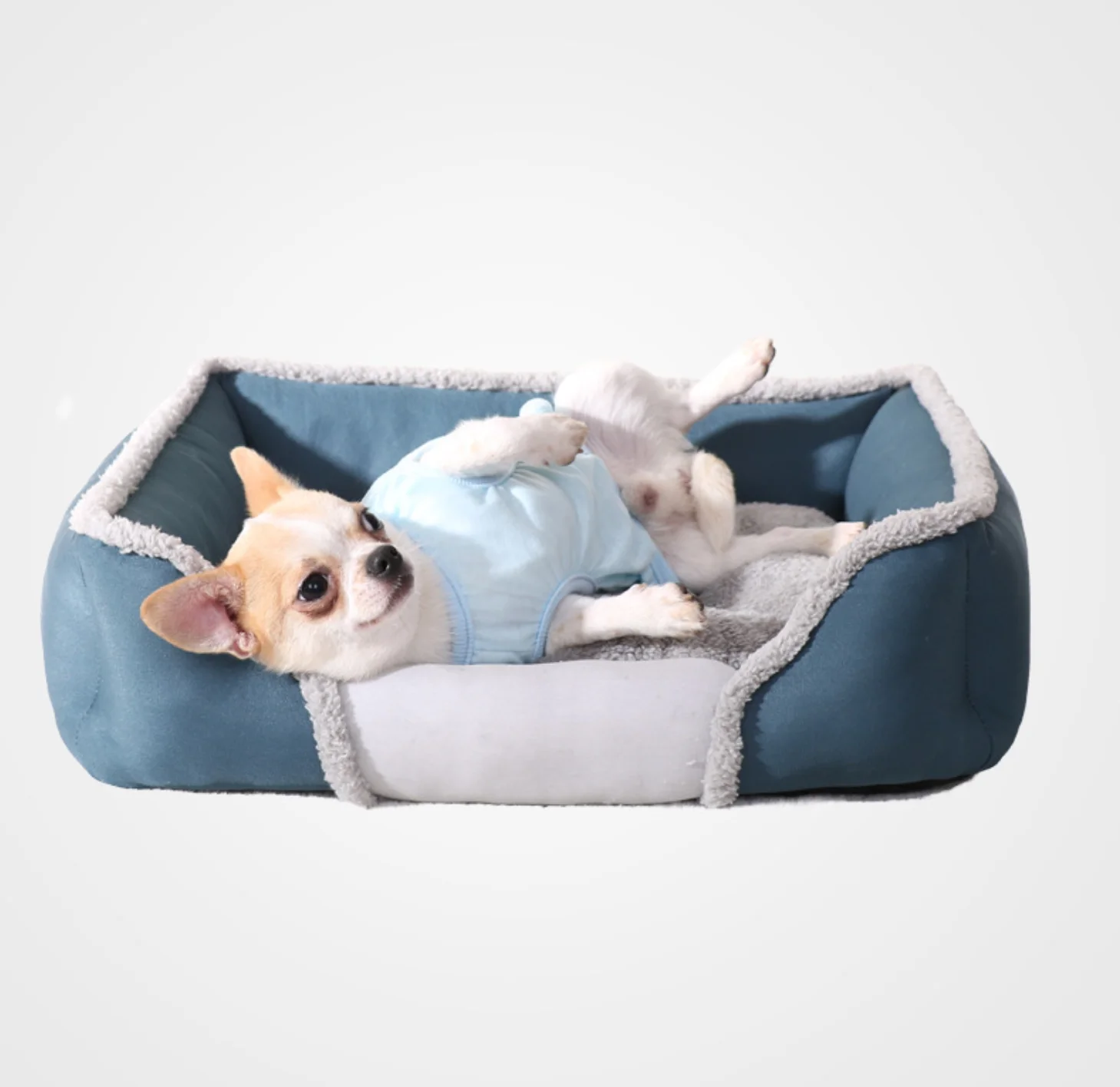 
Super Soft Pet Sofa for Cats Non Slip Bottom Pet Lounger Self Warming and Breathable Pet Bed Premium Bedding 