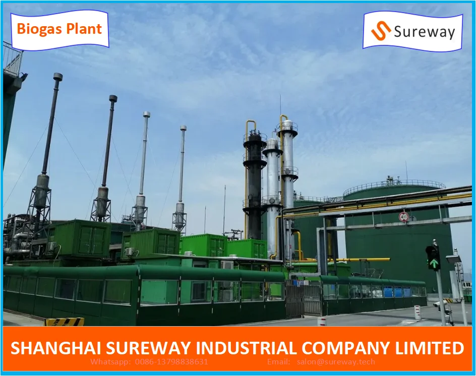 Biogas Project with Cstr Anaerobic Digestion Tank