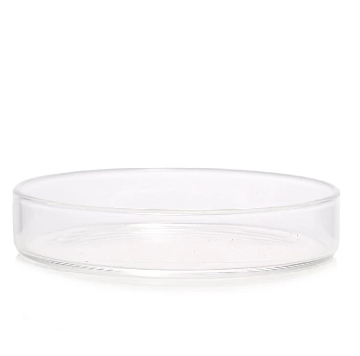 High Borosilicate Glass Plant Culture Dish Chemical Experiment Culture Dish