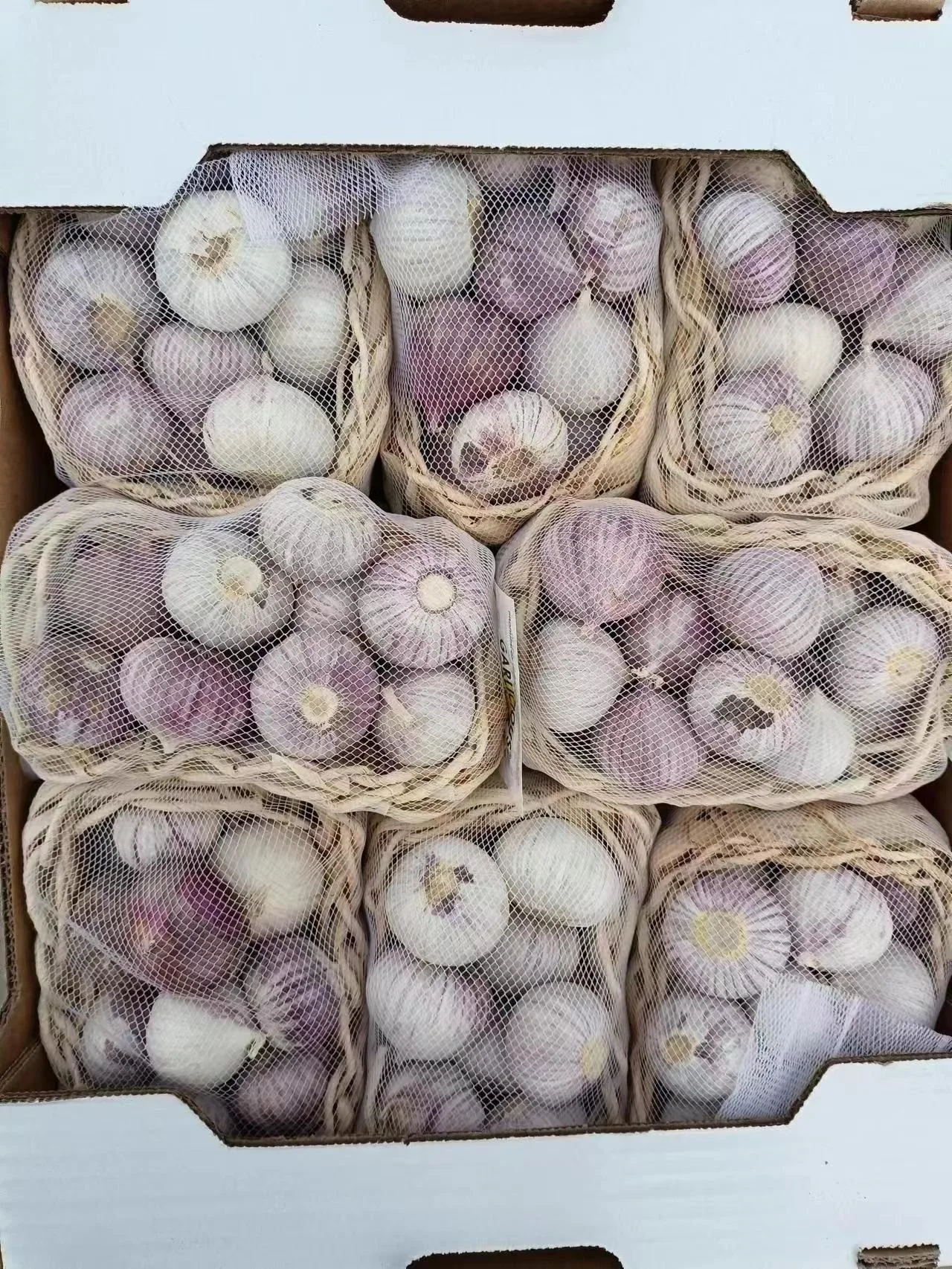 2023 new season SINOFARM brand Chinese fresh single clove garlic price for wholesale fresh solo garlic supplier from China