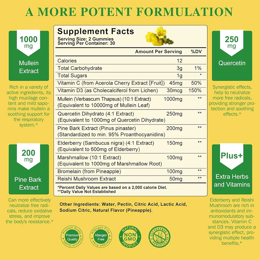 OEM Ready Stock Powerful 9-In-1 Mullein Gummies With Quercetin & Bromelain & Marshmallow For Immune & Respiratory Health Support