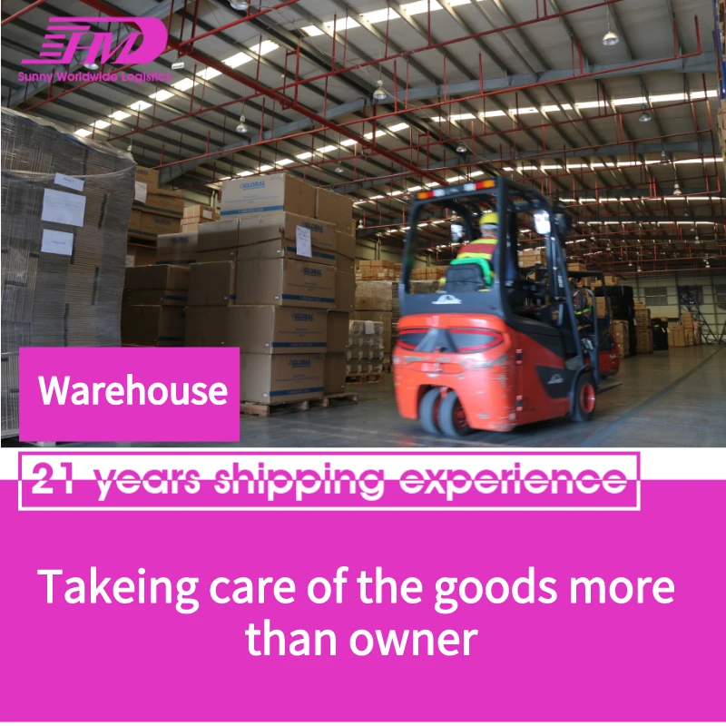 Professional Shipping Agent Cheap Sea Cargo Freight Forwarder From China To USA/UK/Canada/Europe