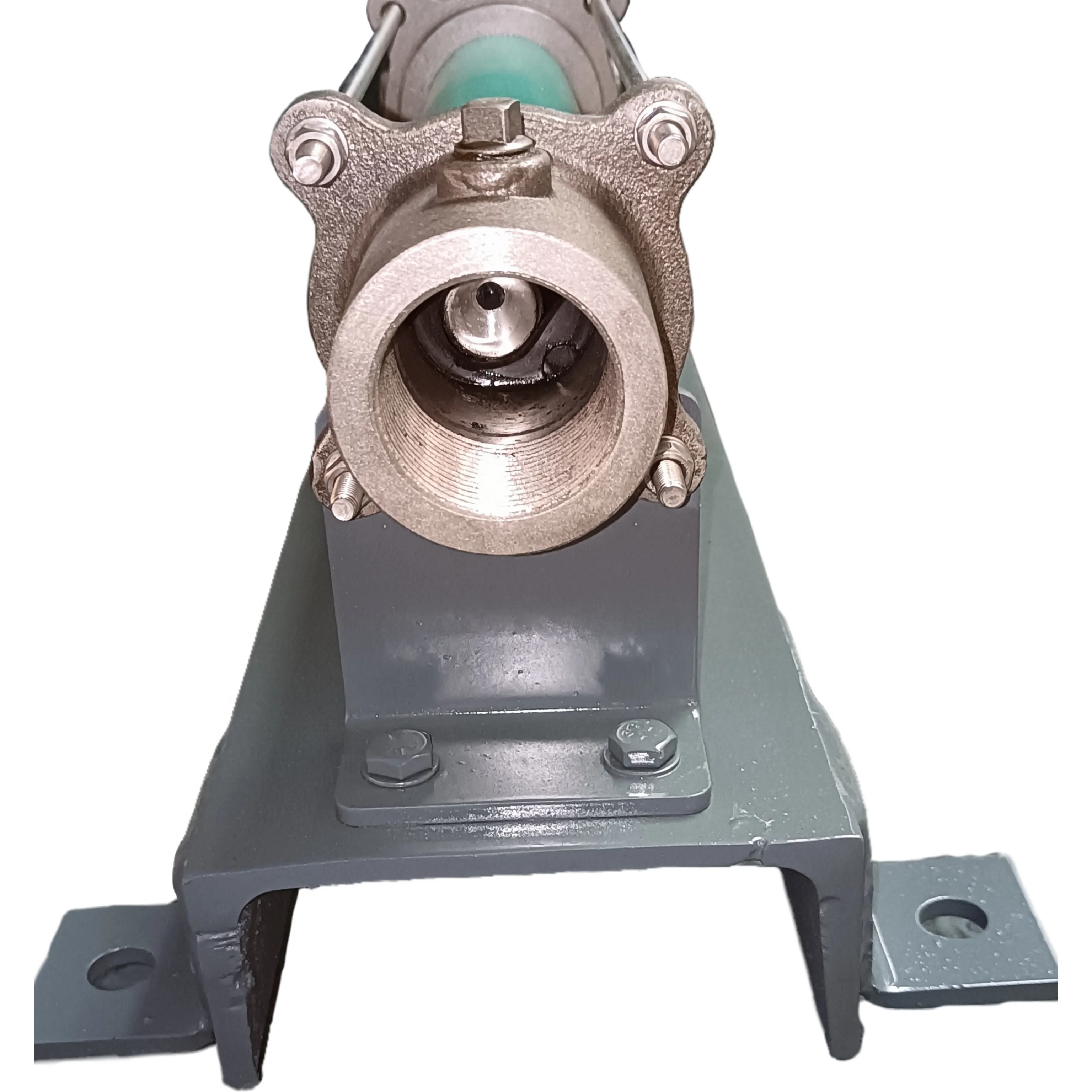 RoNice  as Netzsch NM021BY01L06B Screw Pump for flocculant solution