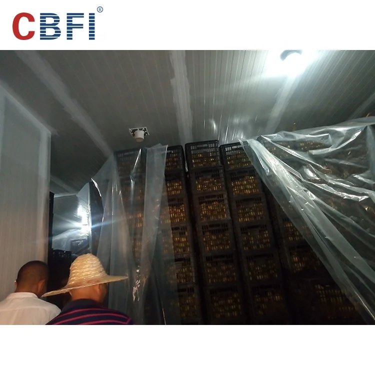 Big Storage Cold Room/Freezer Room for Logistics Market