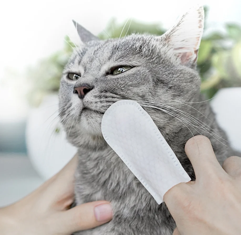 Advanced Dog Dental Care Products with Manuka Honey Against Tartar Plaque Build-Up No Rinse Dog Tartar Remover for Teeth