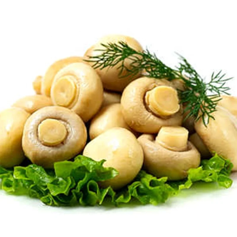 Factory Price Mushroom Whole  Canned Mushroom Whole