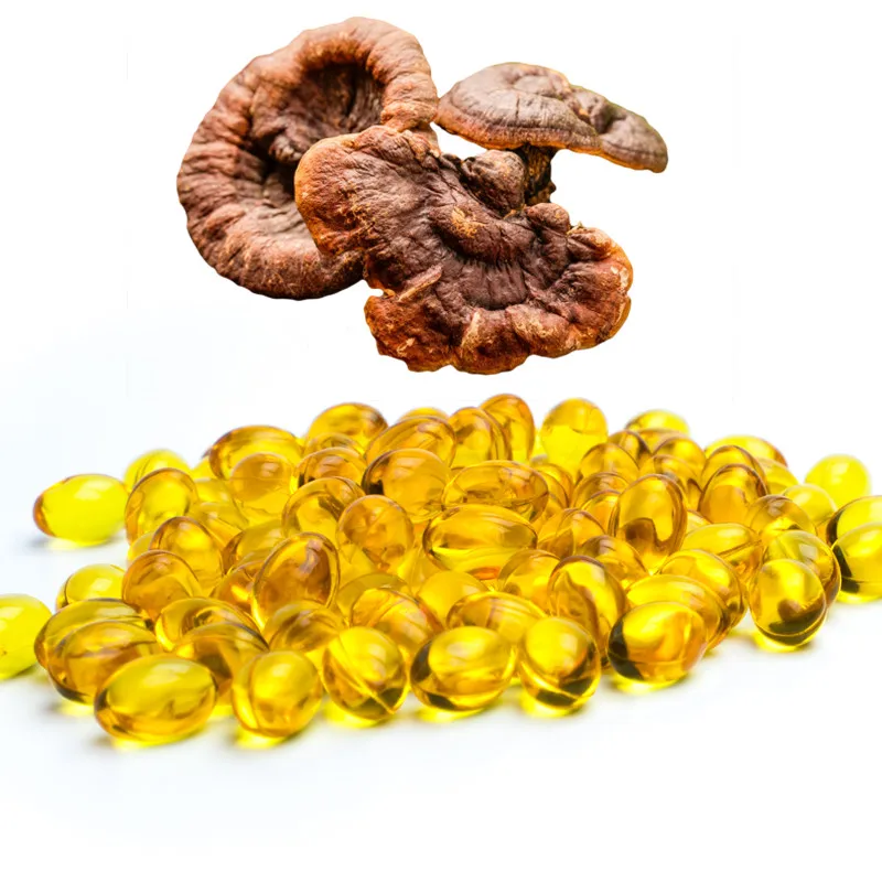 Best Quality OEM Lingzhi Ganoderma Lucidum Mushroom Reishi Extract Softgel Spore Oil Capsule For Liver Function Detoxification