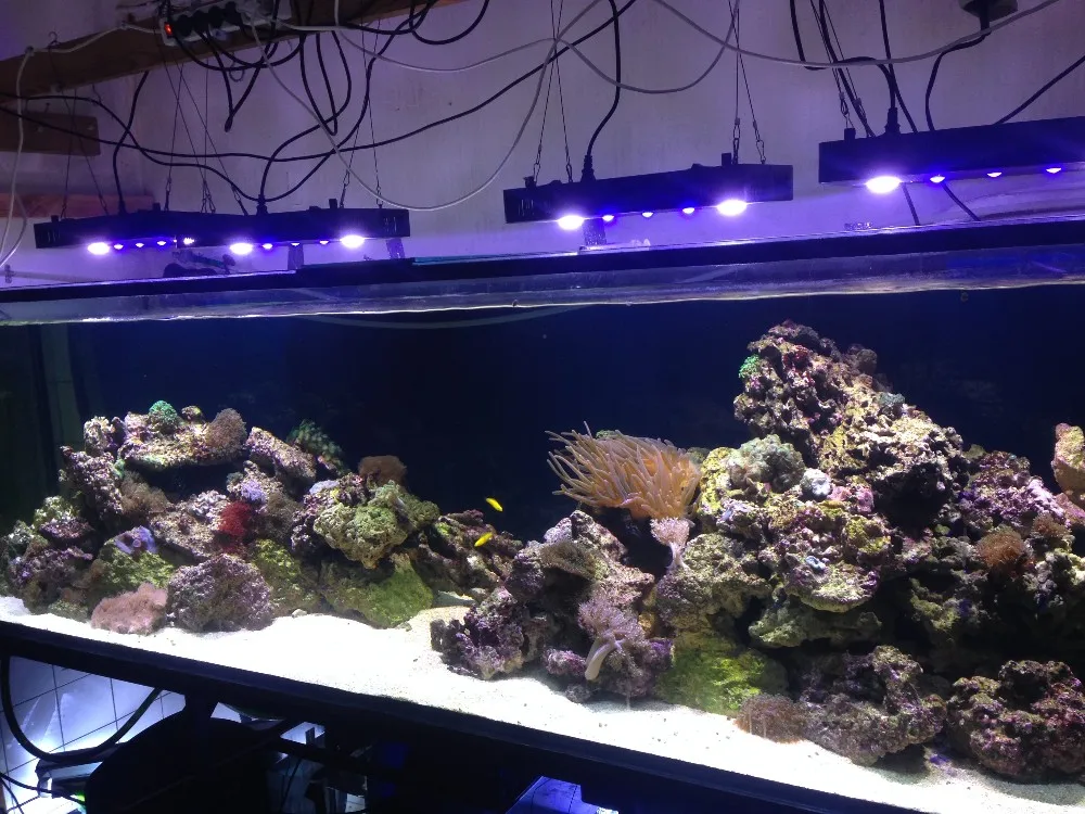 New arrival intelligent WIFI control 165W aquarium light for coral reef