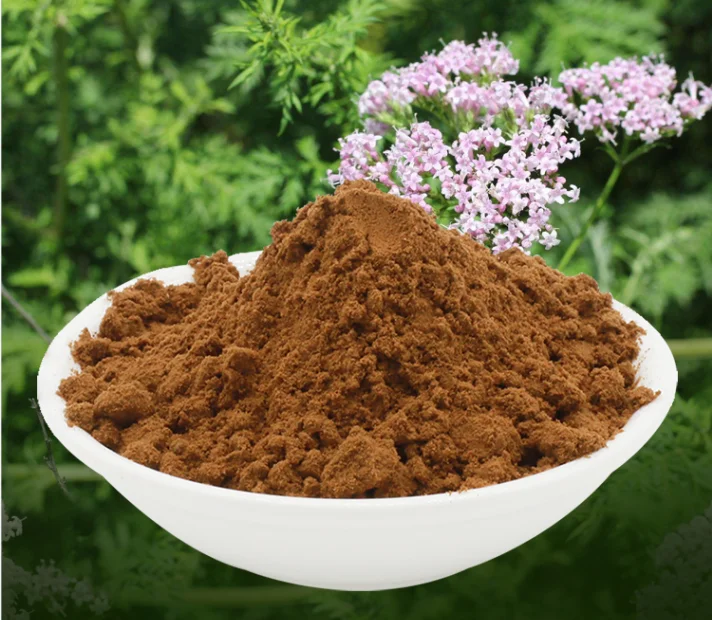 Factory Wholesale Valerenic Acid 0.8% Bulk Valeriana Officinalis  Valerian Root Extract