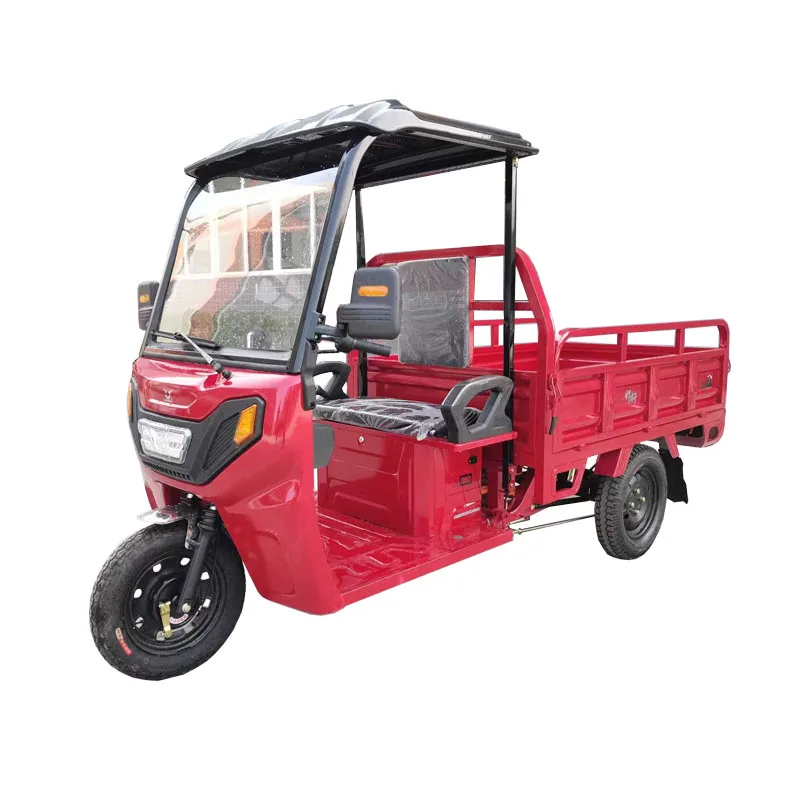 The Best Quality Factory Direct Vehicle Cargo Motorcycle Electric Tricycle Cargo Bike with Pedal