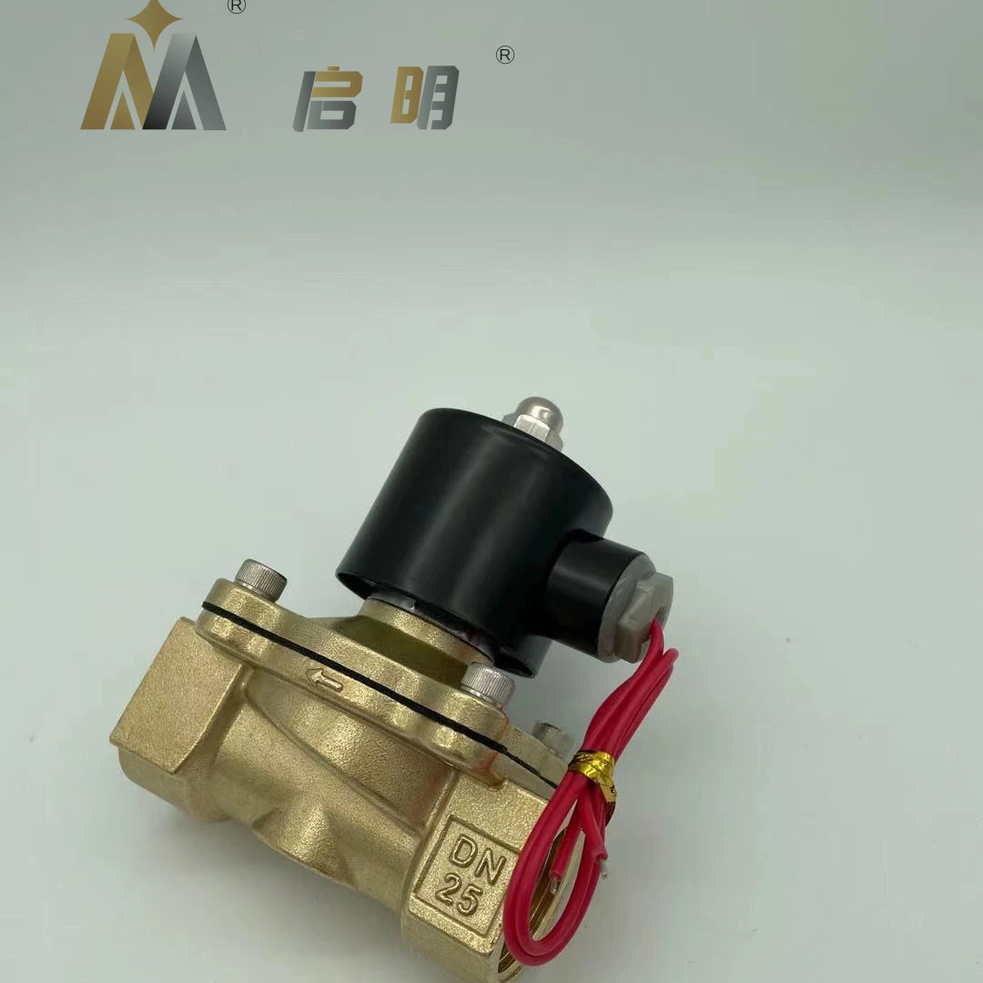 24V AC220V Normal Closed Valves 2W-200-20Normally open Direct-acting solenoid valve Water valve