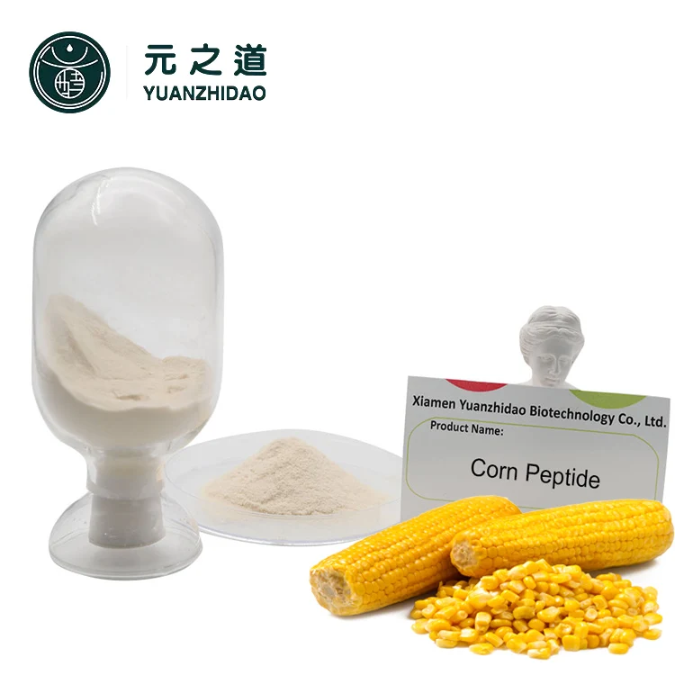 
Organic Peptide Corn peptides Vegan Protein Powder 