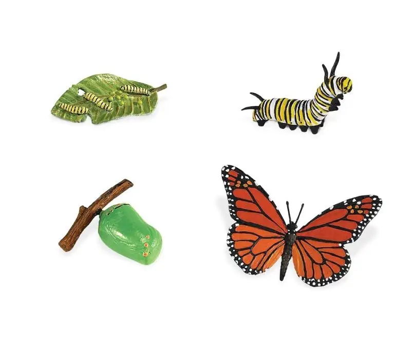 Baby Early Education Montessori Animals Toys SetS For Kids Animal Models With Cards