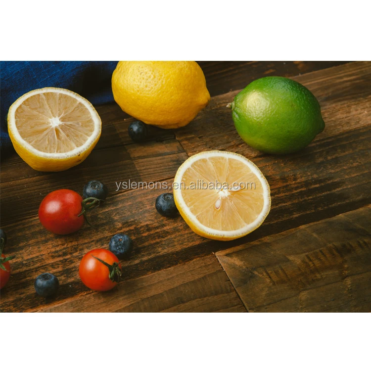 Montale Size 88 100 113 125 138 Fresh Wholesale Eureka Lemon