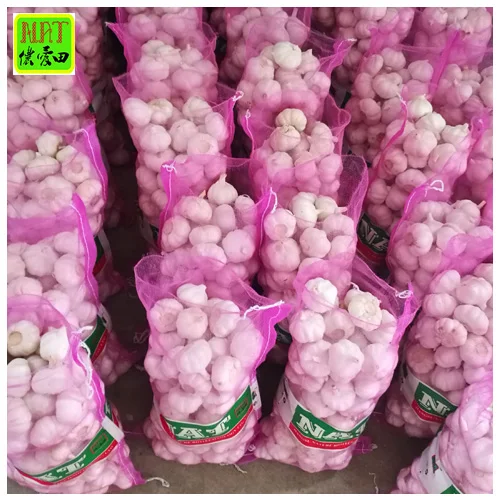 Top grade high quality fresh snow white garlic super white 3P 4P 5P 6Pin carton small package boxed factory price white garlic