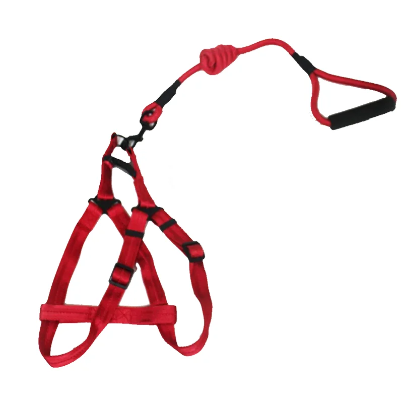 Lorenzo Oem Arnes Para Perro 8mm Designer Dog Collar Leash Pet Accesori Dogs And Puppies For Sale Tasma Retractable Dog Leash