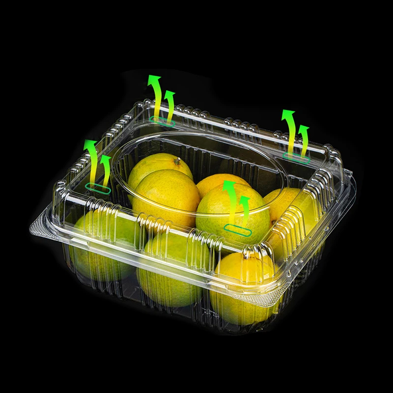 Transparent Disposable PET Fruit Box Recyclable Food Plastic Packaging with Cover Embossed Blister Agriculture Use