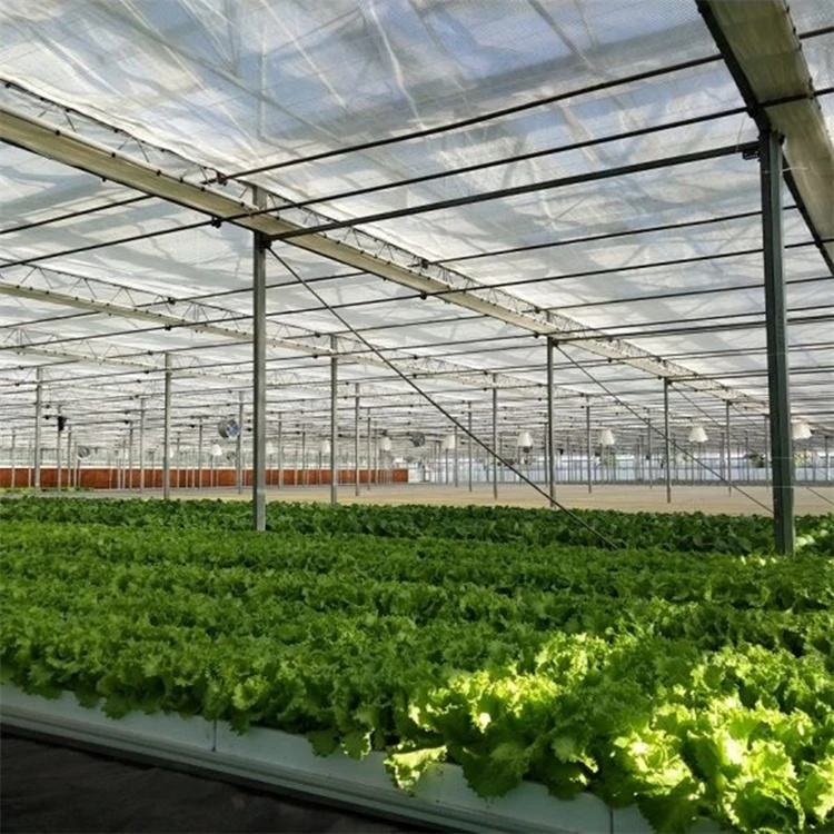 Industrial greenhouse kit hydroponics growing system agricultural glass sale for greenhouses suppliers commercial greenhouse