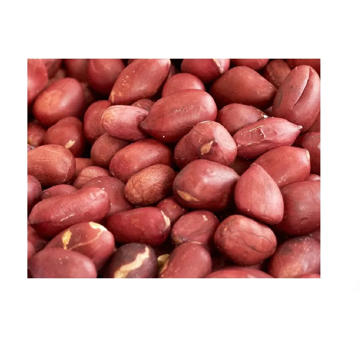 High grade non-GMO natural peanut groundnut bulk product from Uzbekistan natural raw peanuts for food