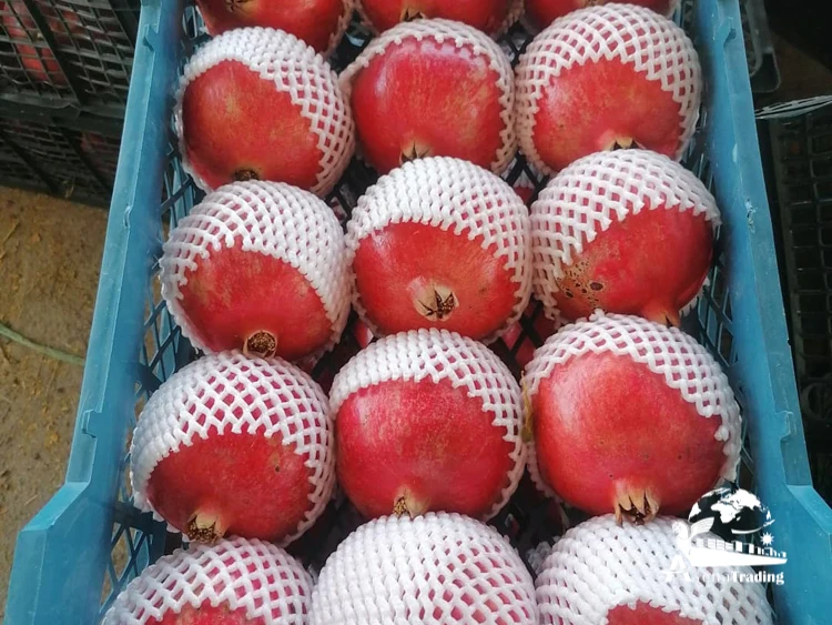 The most popular wholesale Fresh Red Sweet Pomegranate Fresh Red Pomegranates Wholesale Fresh Pomegranates