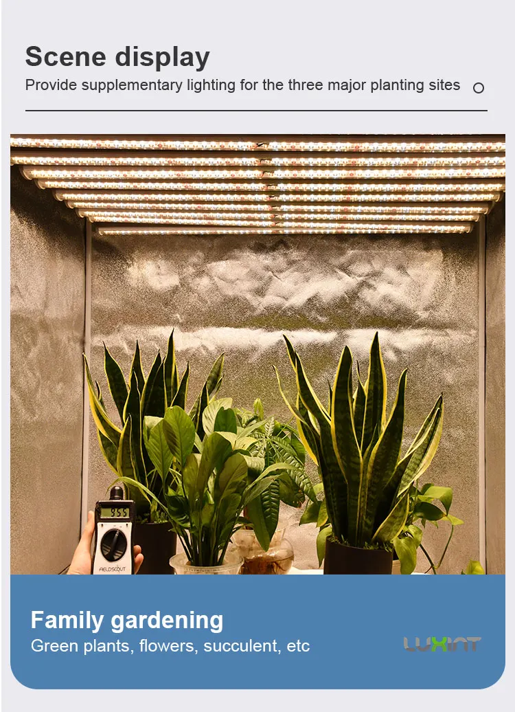 2024 new design grow light better than Gavita 1650 pro E led grow light bars full spectrum 600w replacing HPS 1000W grow lamp