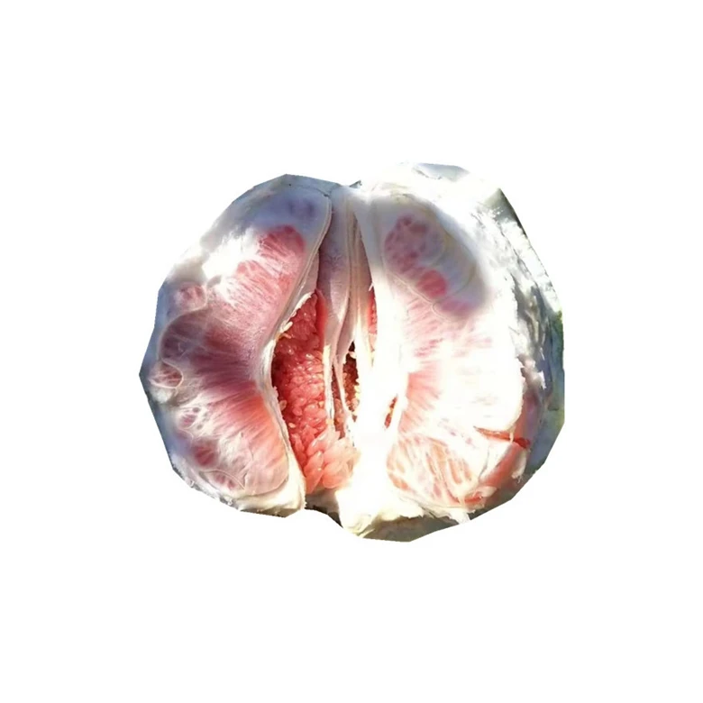 Китайский новый урожай, оптовая продажа, свежая цена, грейпфрут, оптовая продажа консервированных цитрусовых фруктов, оранжевого, Красного меда, помело audi