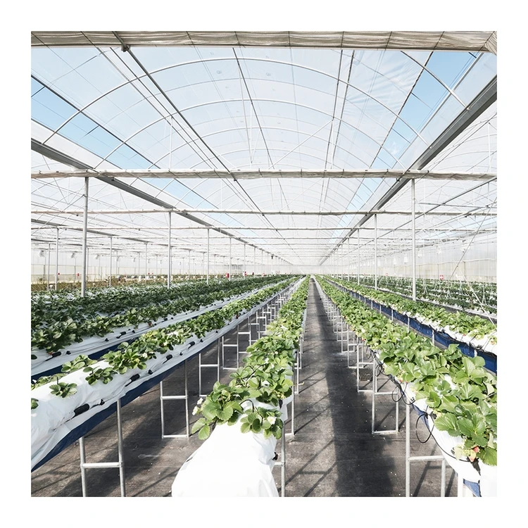
Factory direct supply customized multi span agricultural hydroponic greenhouse for flowers 