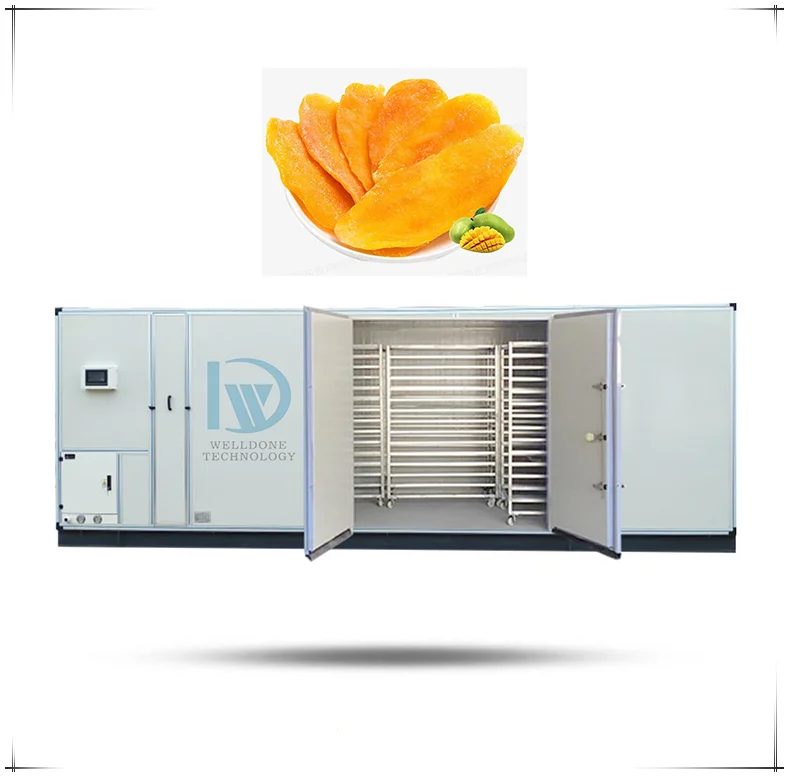 Energy Saving Mango Heat Pump Heating Dryer/Drying Machine(A Big Discount)