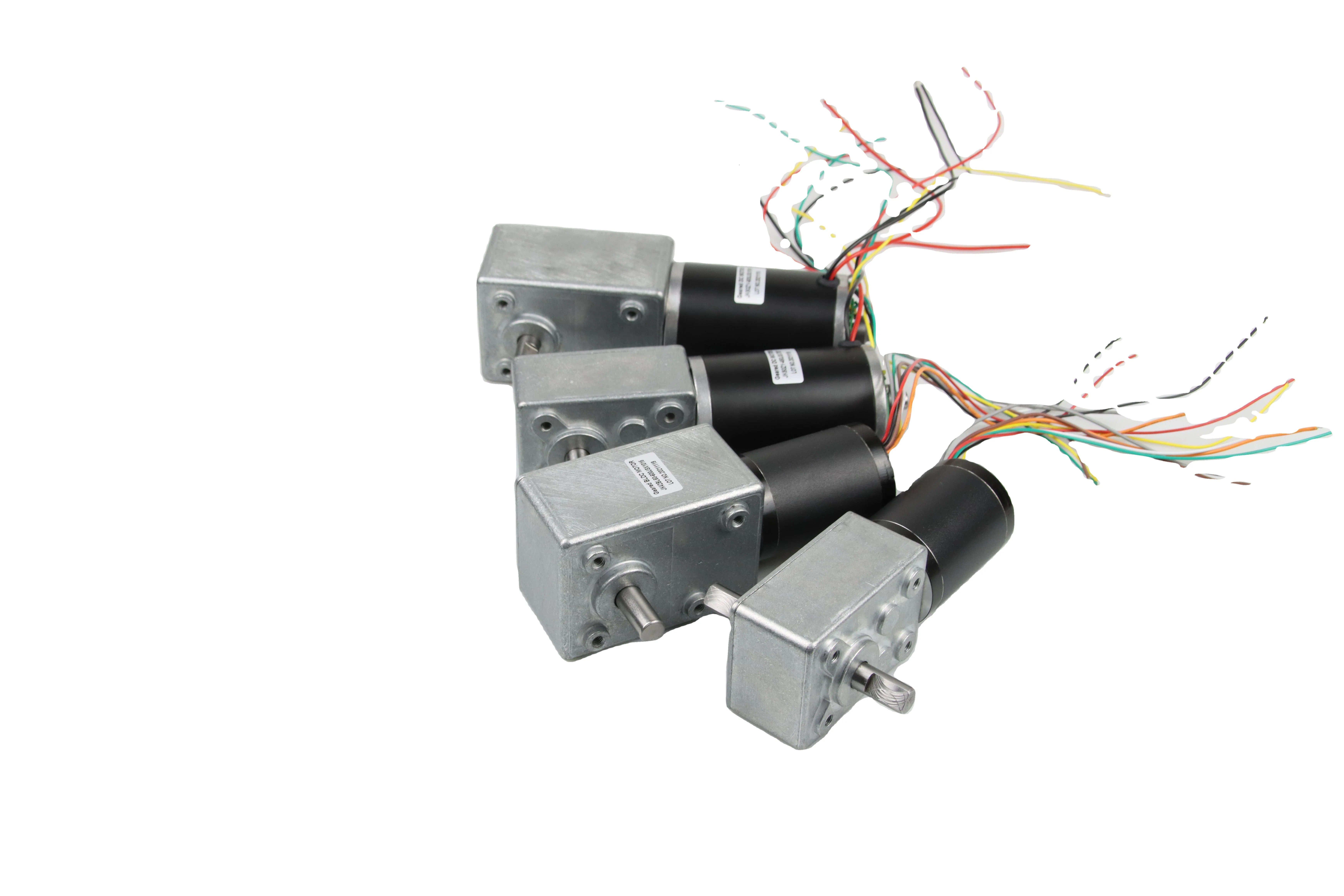 Customized 42mm 8 Poles 24V 3rpm BLDC Motor With Worm Gear for motion applications