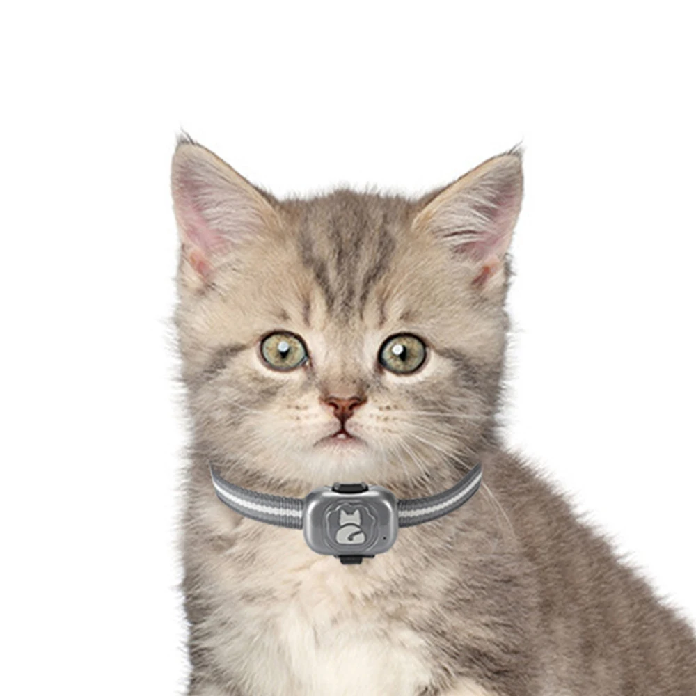 Hot Selling Cat Interactive Track Roller Ball Pet Locator Small Gps Tracking Devices For Pet Sim Card Gps Tracker Chip Module