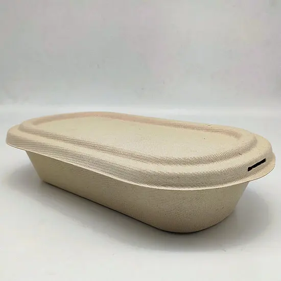 
Eco Friendly compostable 1000ml Disposable food box with nutual pulp cover Sugar cane fiber take-away box with lid 
