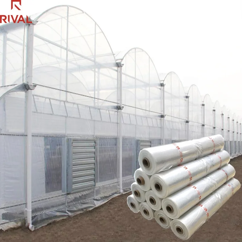 ISO 9001 Large multi span tunnel PE agricultural hydroponic tomato greenhouse plastic film